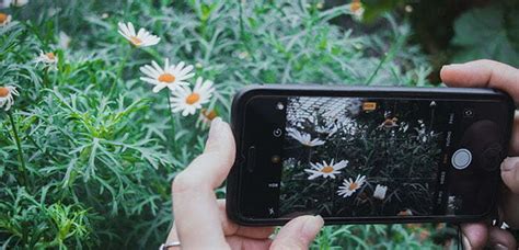 38 Dicas para melhores fotos com o seu Celular • O Casal da Foto.